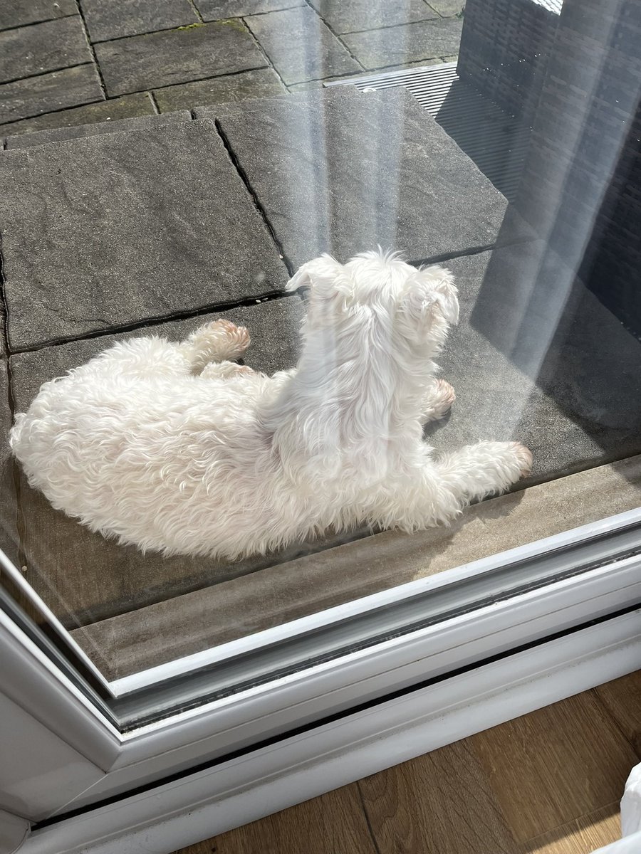 Vicky Trotter tweet media