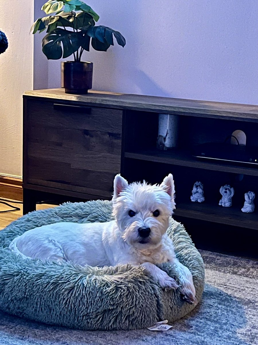 Vicky Trotter tweet media