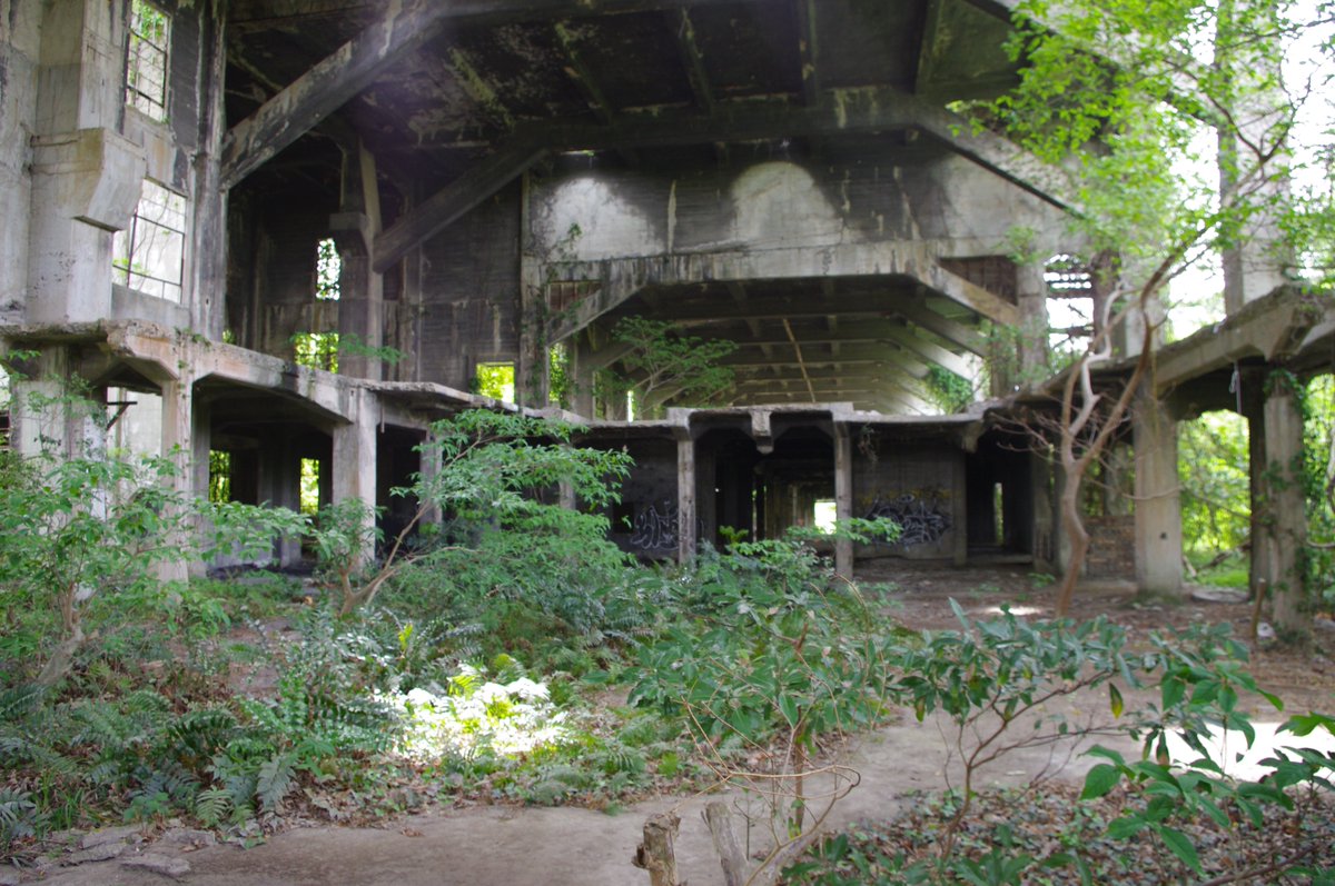 コブ・シメ 🦑 tweet media