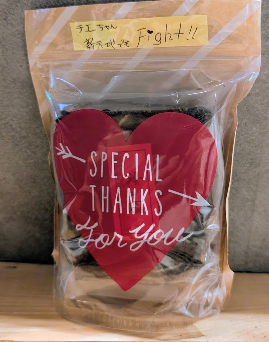 小川チエ⛺ tweet media