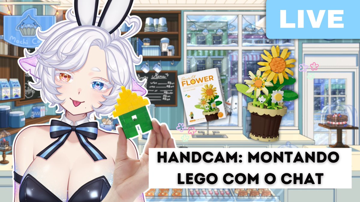 Mochi Yuki 🦈 tweet media