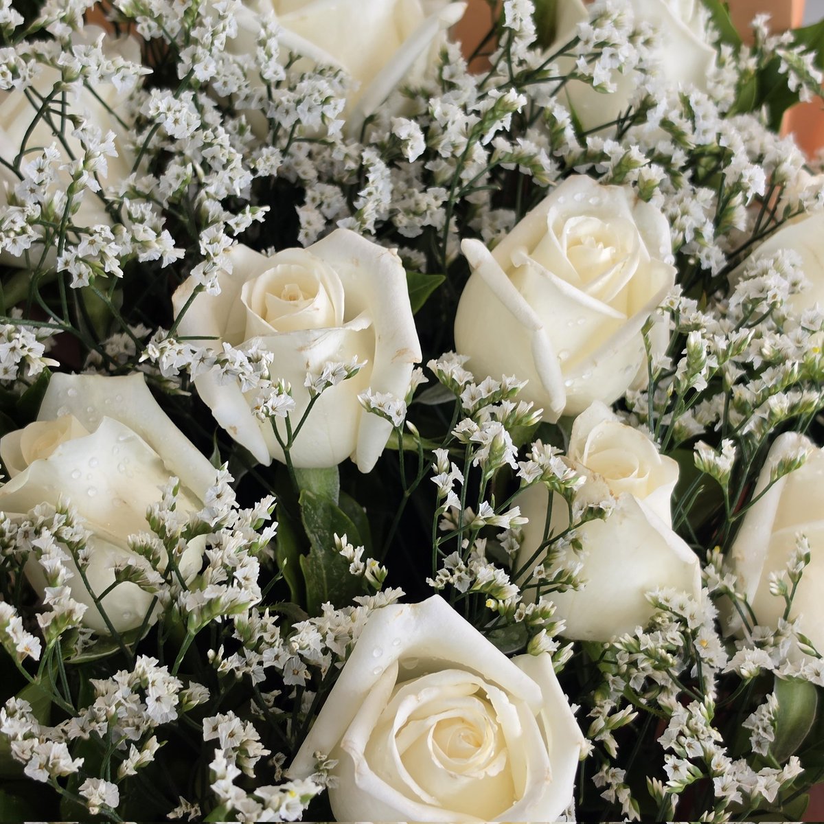 ไปร์ tweet media