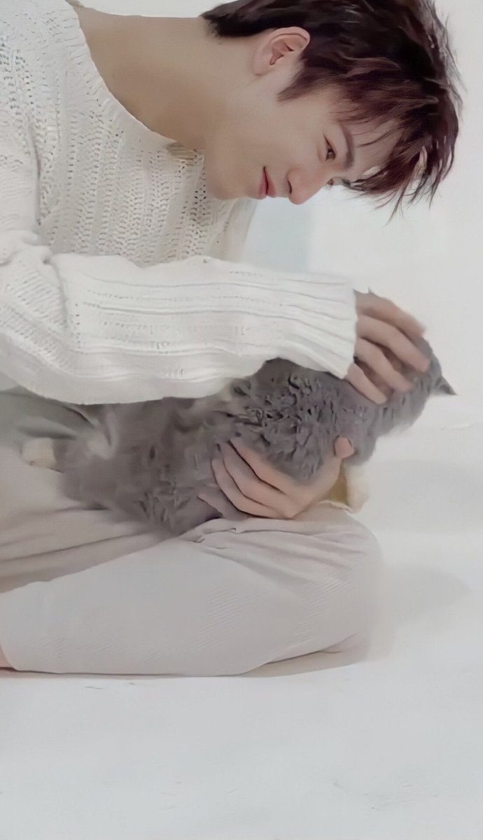 혁혁 🦊 tweet media