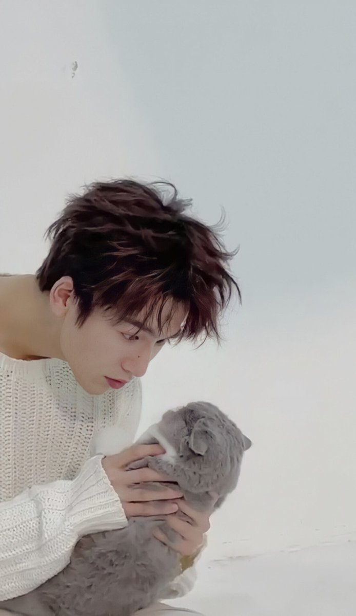 혁혁 🦊 tweet media