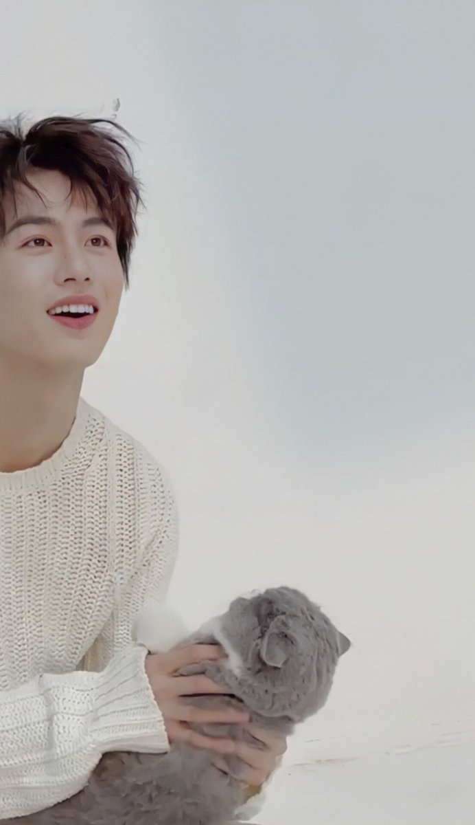 혁혁 🦊 tweet media