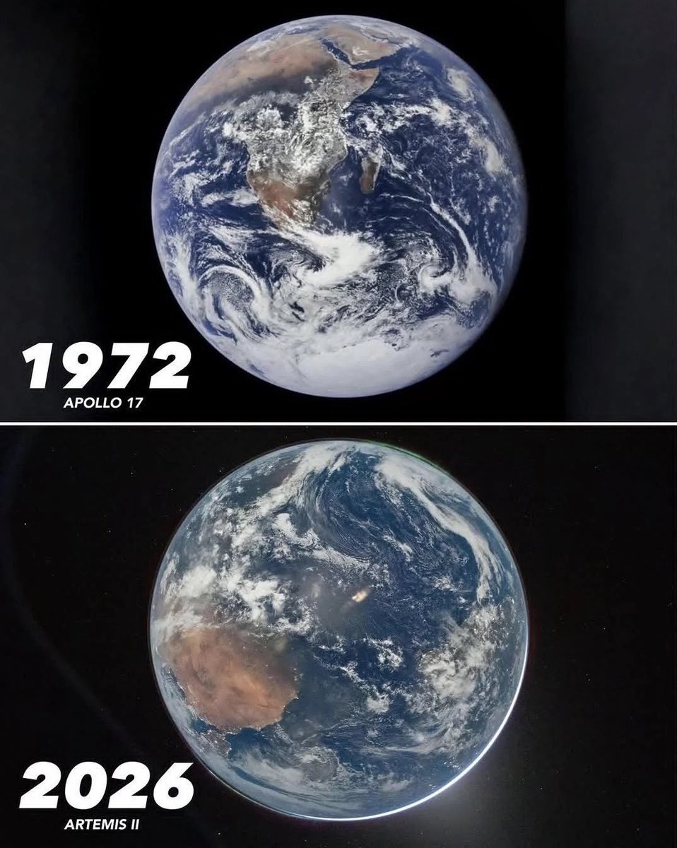 chaotic memes tweet media