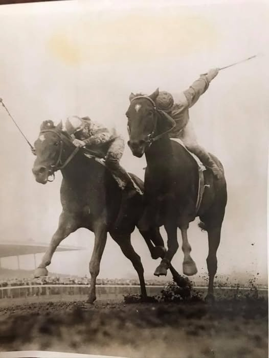 As a Bold Ruler fangirl, the Wood Memorial and Carter Handicaps are two ...