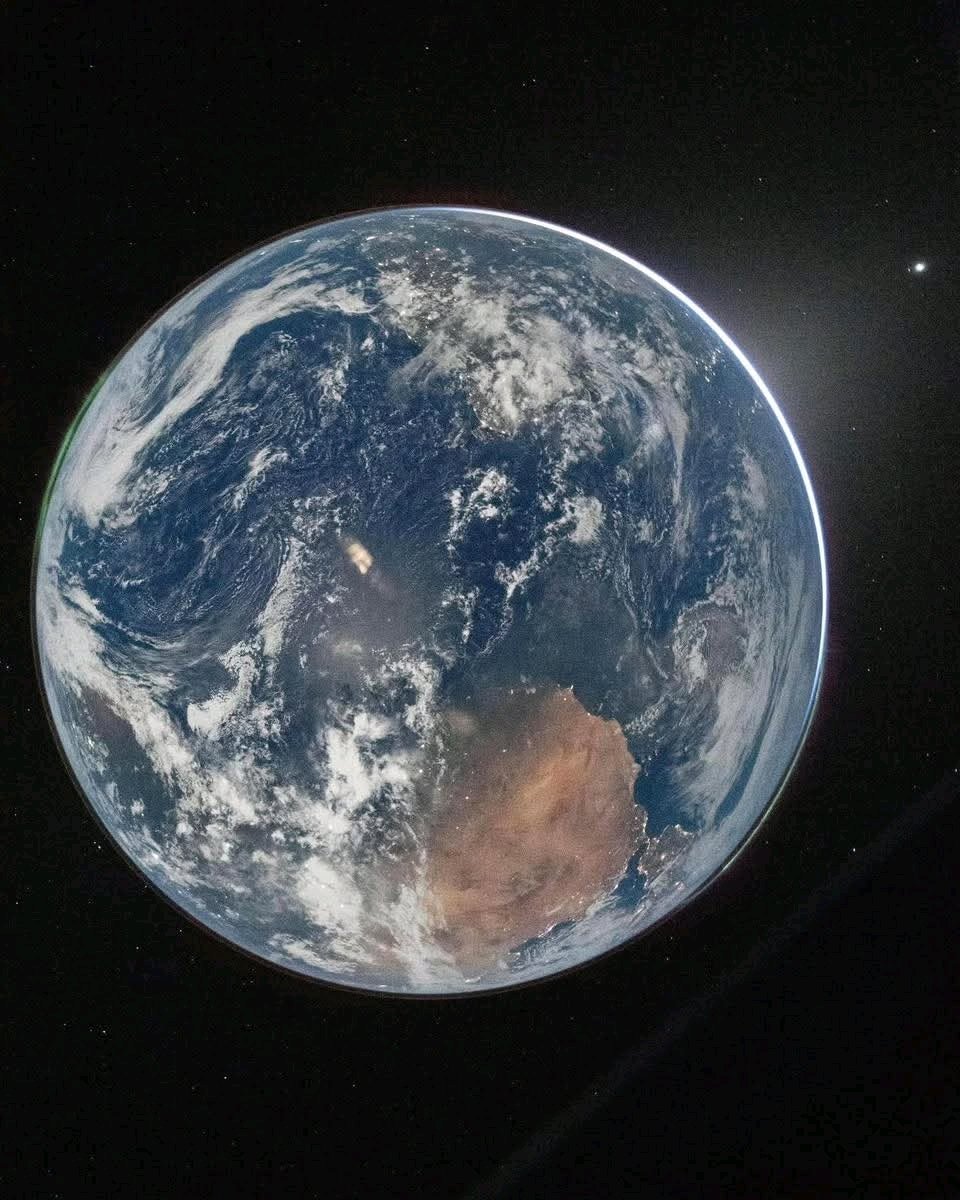 stella maris riveros tweet media