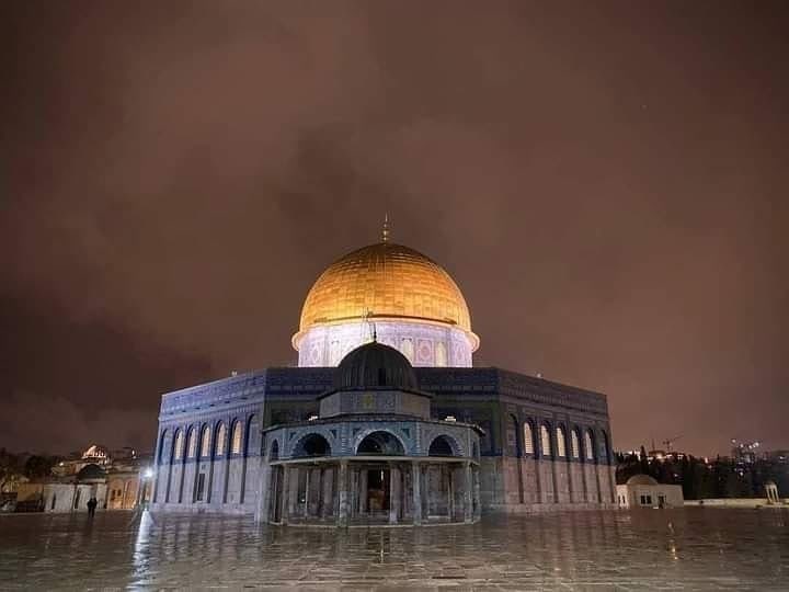 Da Sheikh tweet media