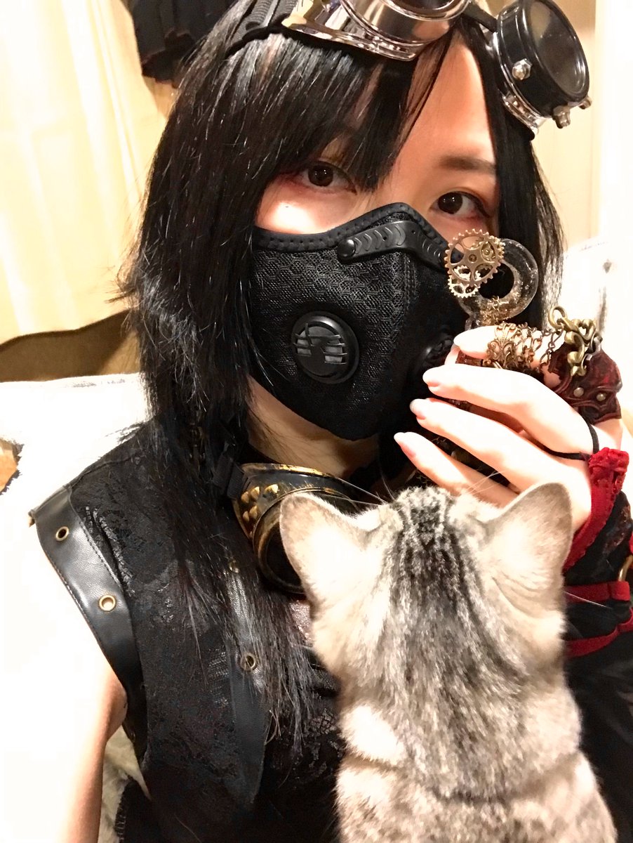 #海外向けだと思う画像を上げろ

やっぱ忍者と猫やろがい❕