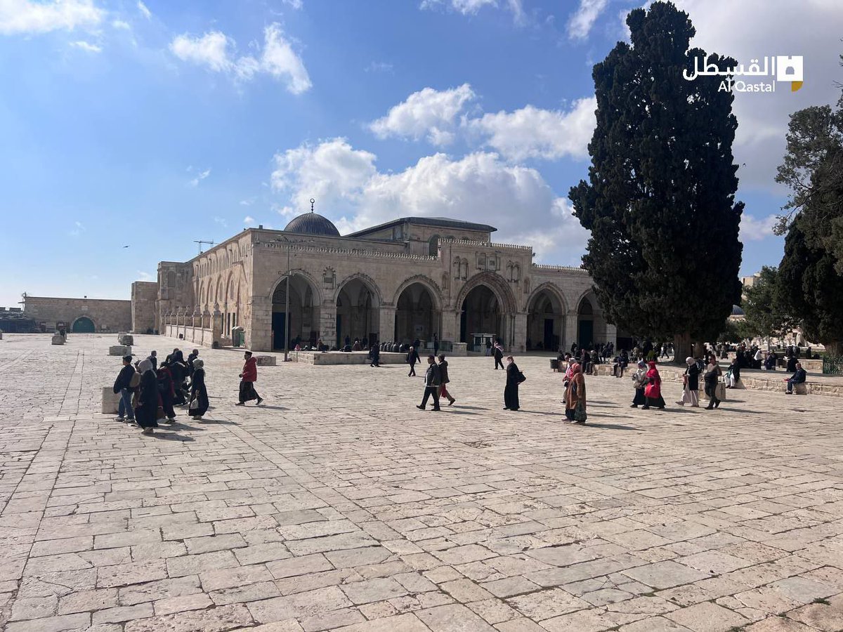 Da Sheikh tweet media