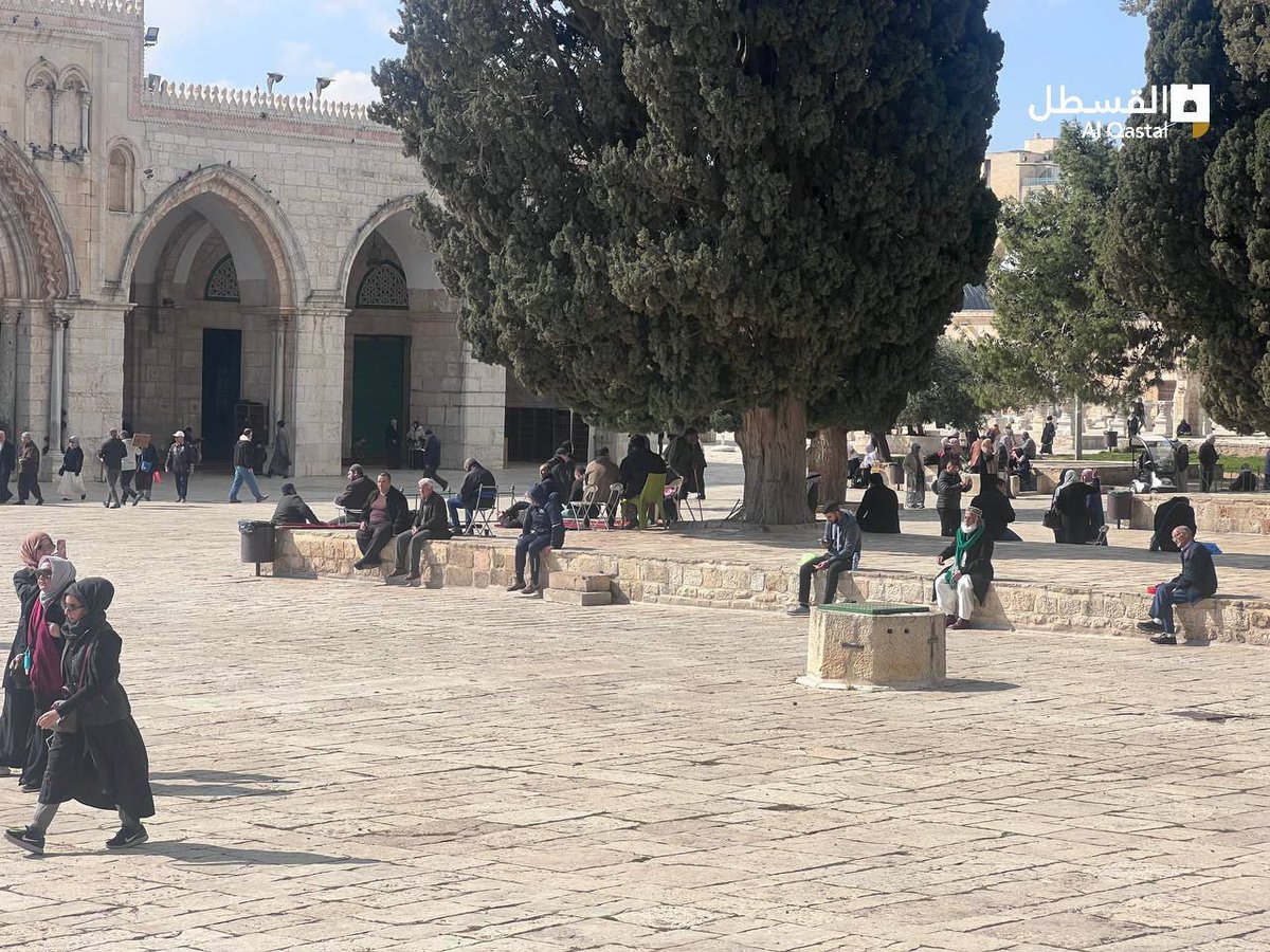 Da Sheikh tweet media