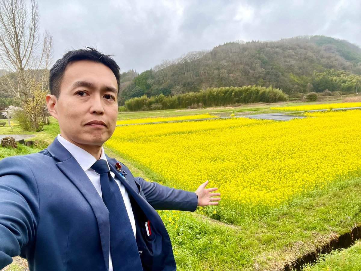桜もまだまだ綺麗ですが、久米南町道の駅では菜の花も綺麗に咲いてまし 