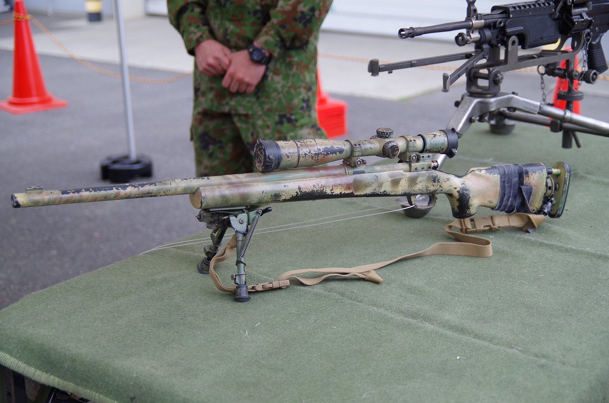 サカ熊 tweet media