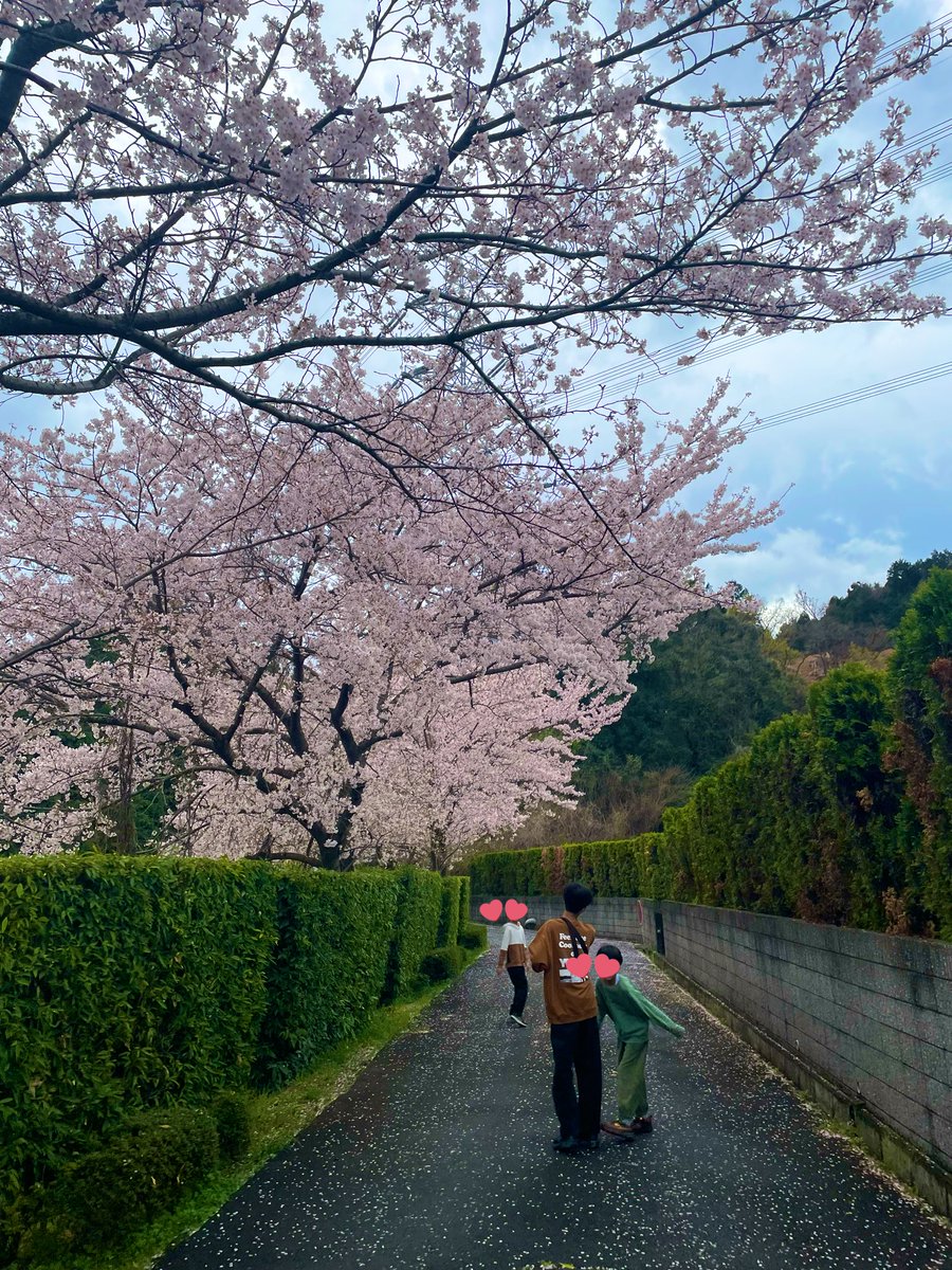 おしゃべり会長🫑TK_あーや tweet media