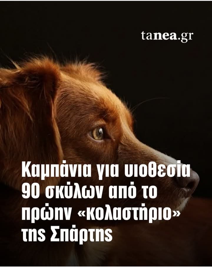 FEM🖕NA tweet media