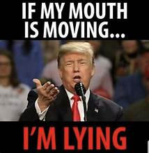 MICHAEL DOLLAR tweet media