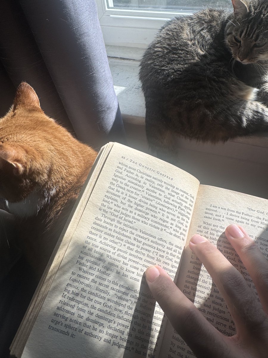 MilhousesTeeth's tweet image. Throwback to when I read on that nigga #busted #bum