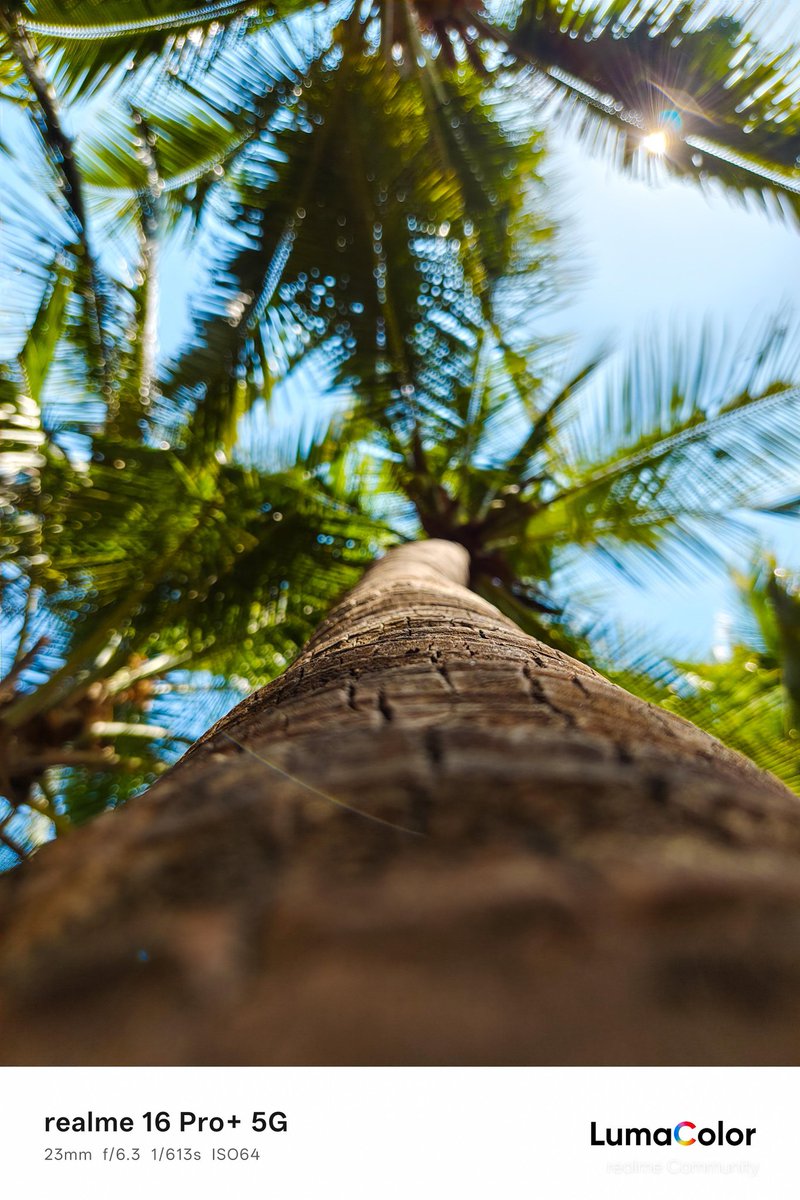 TechnoAjay08's tweet photo. Capturing the Majesty of Coconut Trees 🌴| realme 16 Pro+ 5G
#shotonrealme #shotonsnapdragon #Photography #photo @Snapdragon @Snapdragon_IN @realmeglobal @realmeIndia https://t.co/xvDuMDmUfQ