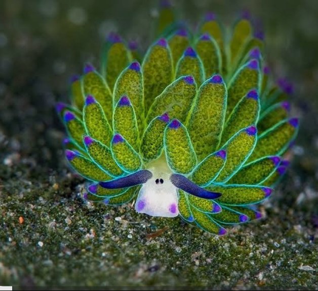 ♪Melody♪ tweet media