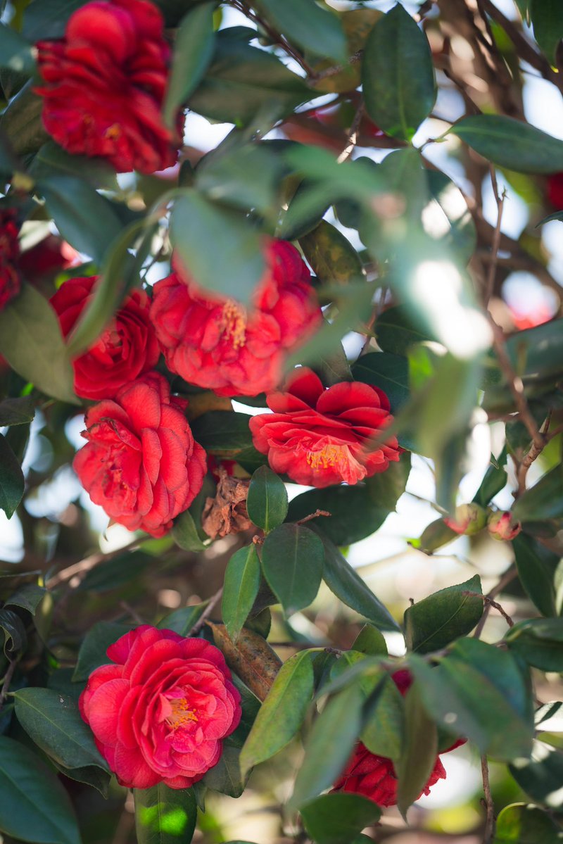 Ville de Nice tweet media