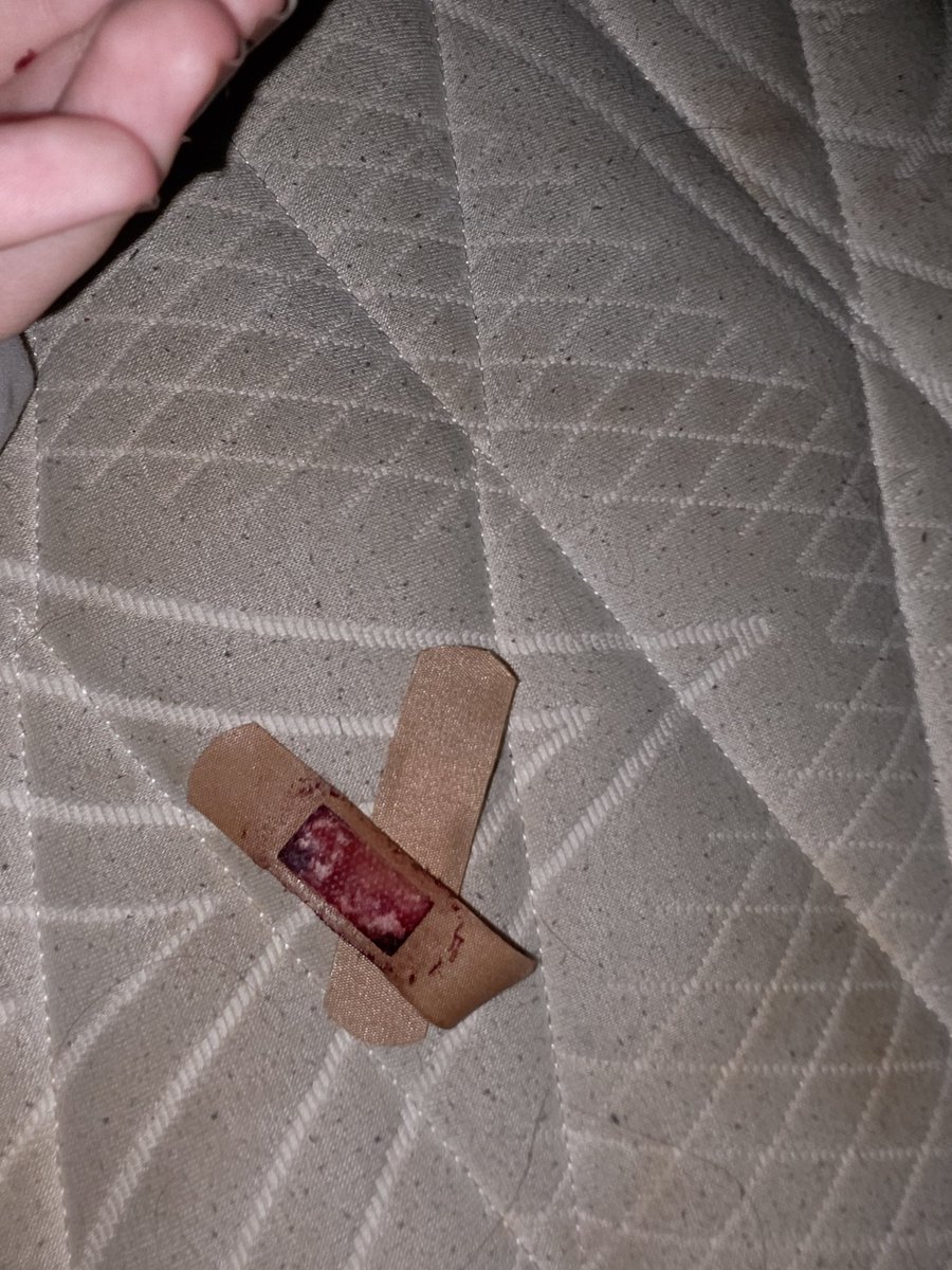 .⋆♱q tweet media