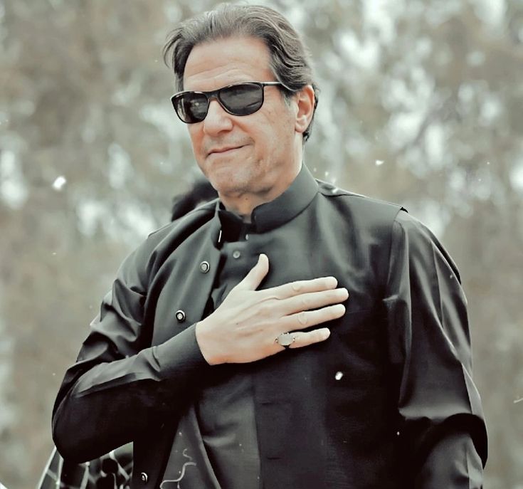 VoiceofPTI tweet media