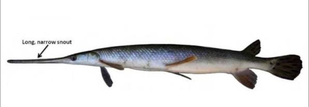 BiblicallyAccurateDickAndBalls tweet media