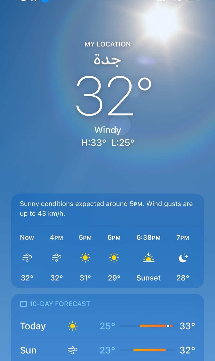 porceaincrows tweet media