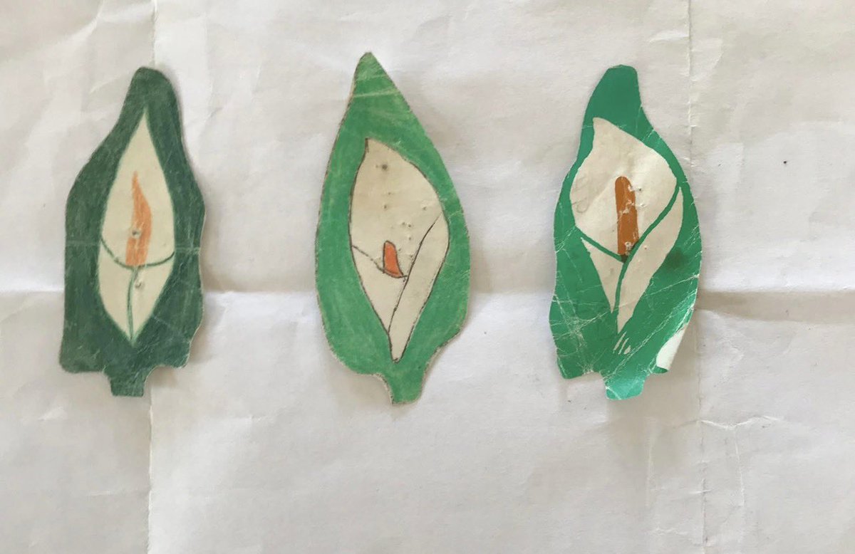 Paddy Fox tweet media