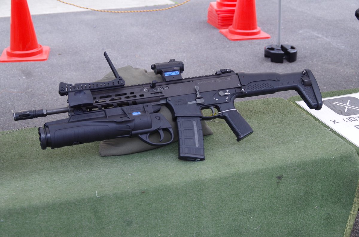 サカ熊 tweet media