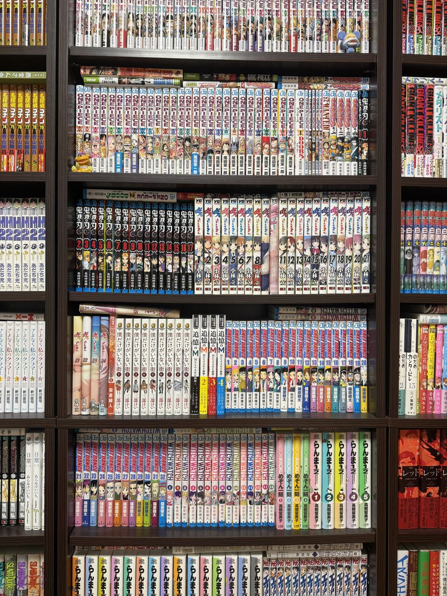 単行本サイズ向けにこの本棚を買い足そうか迷っているが、漫画レベルの