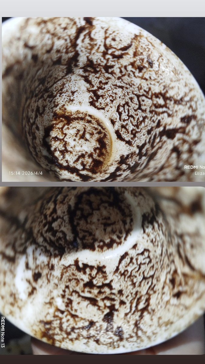 ☀️ذات حظ عظيم♒💍 tweet media