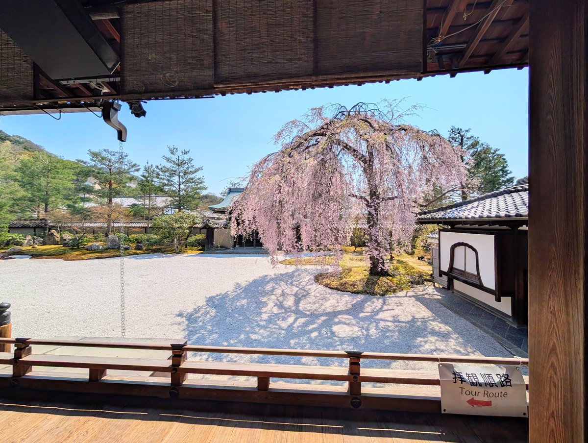 🌷シャルル🍡🌸•*¨*• tweet media