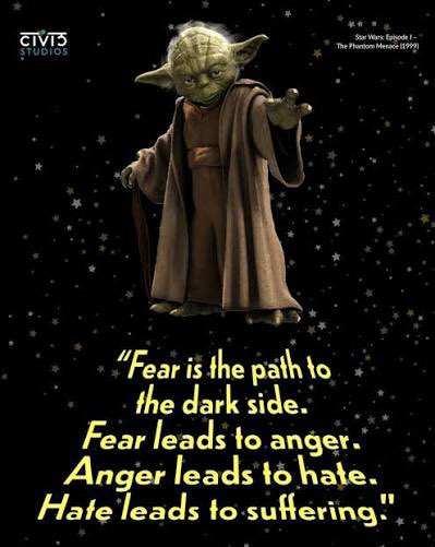 Harry Stotle tweet media