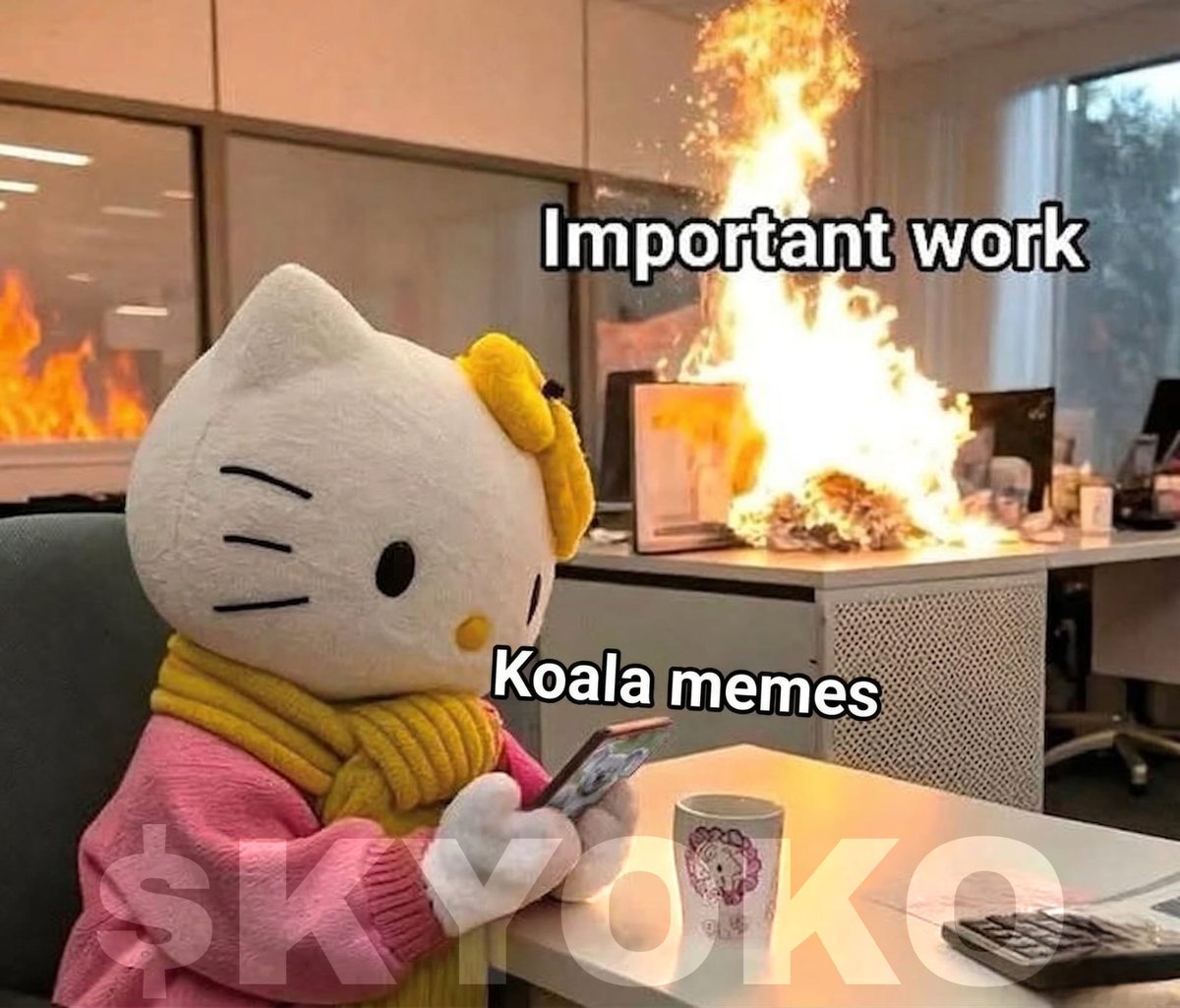 Kyoko tweet media