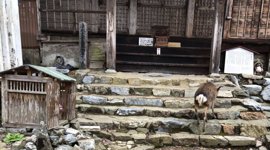 月輪寺【公式】 tweet media