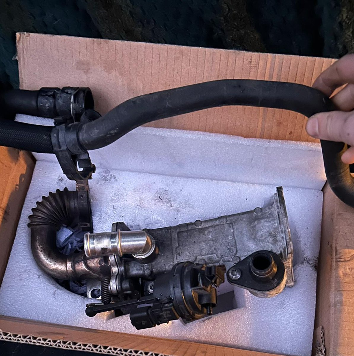 Kate, Florence and James tweet media