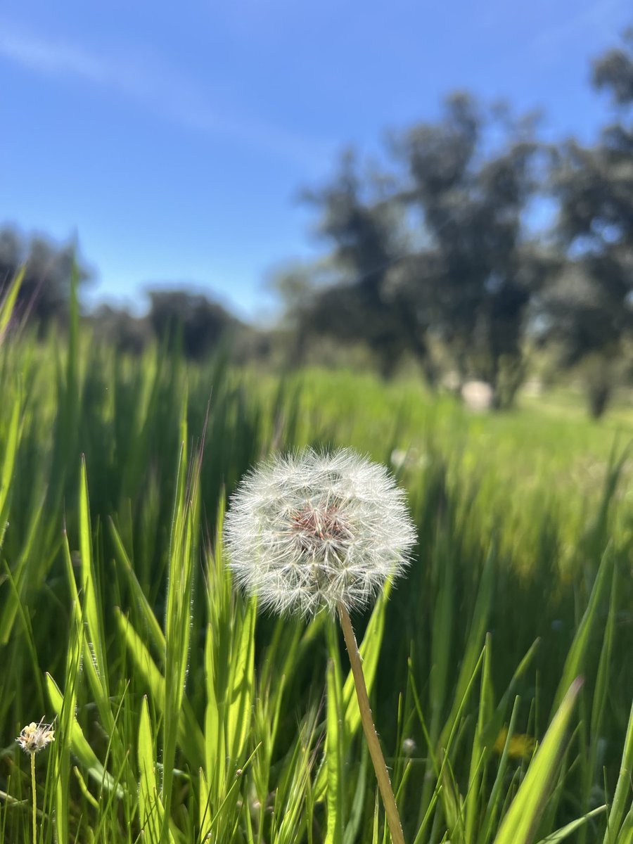 Barbara Platsch tweet media