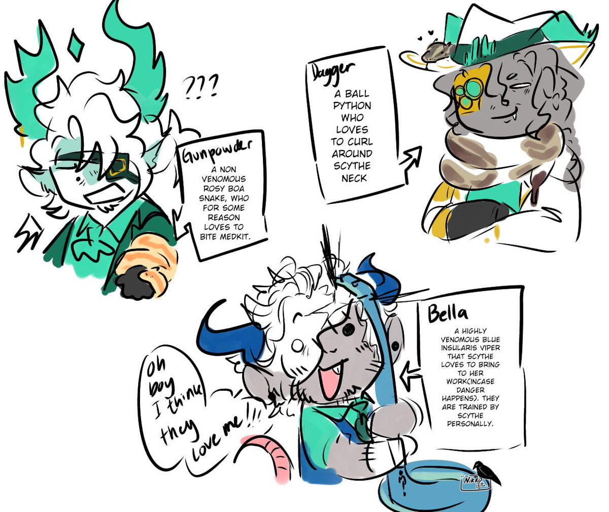 Nikkō_kage 🍉 tweet media