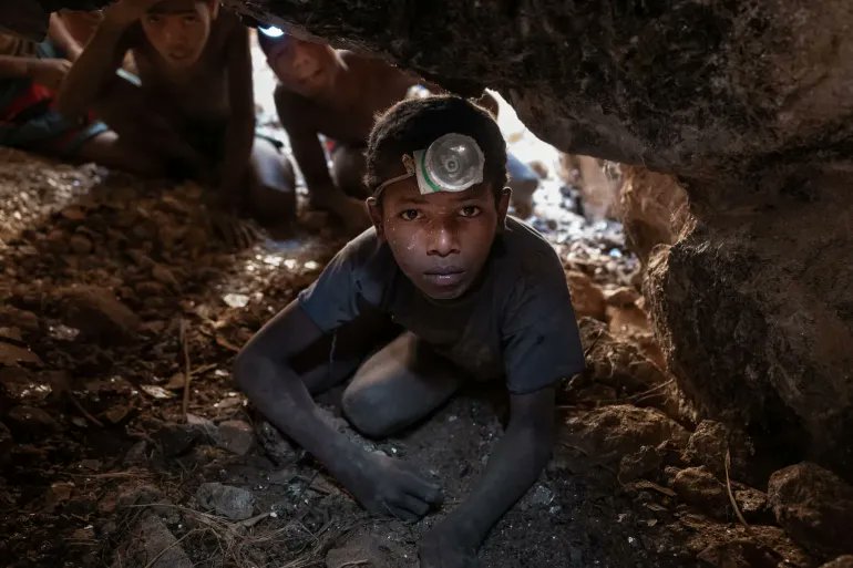 VEGAN⎔T⎔ tweet media