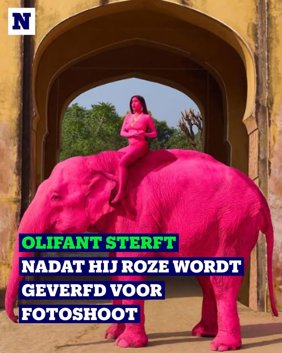 D. G. Ellen tweet media