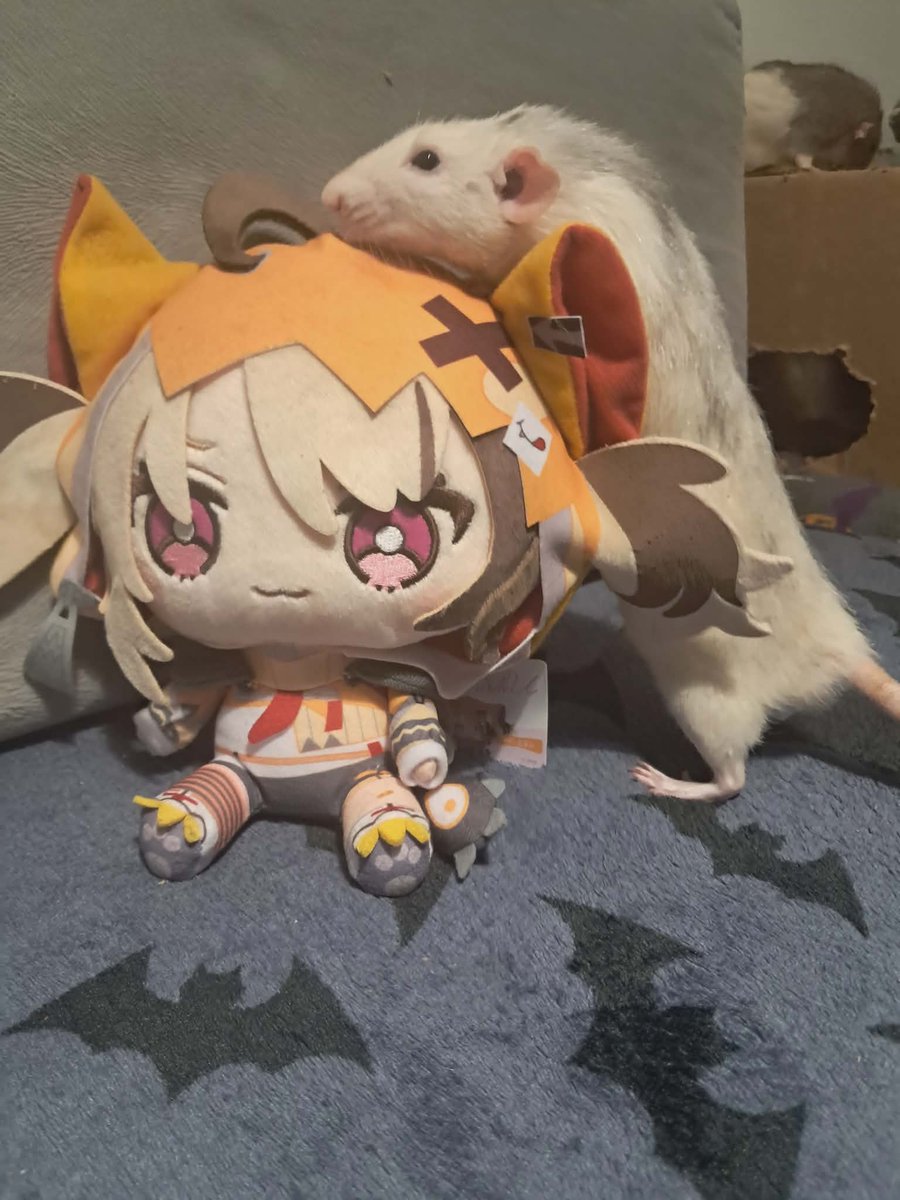 Mewyko 👧⏳ tweet media