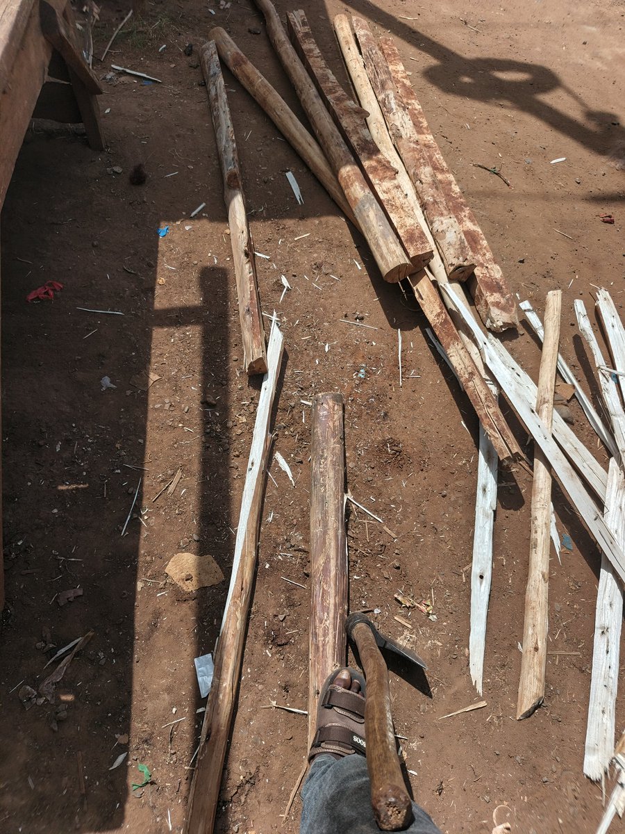 freakin😂 tweet media