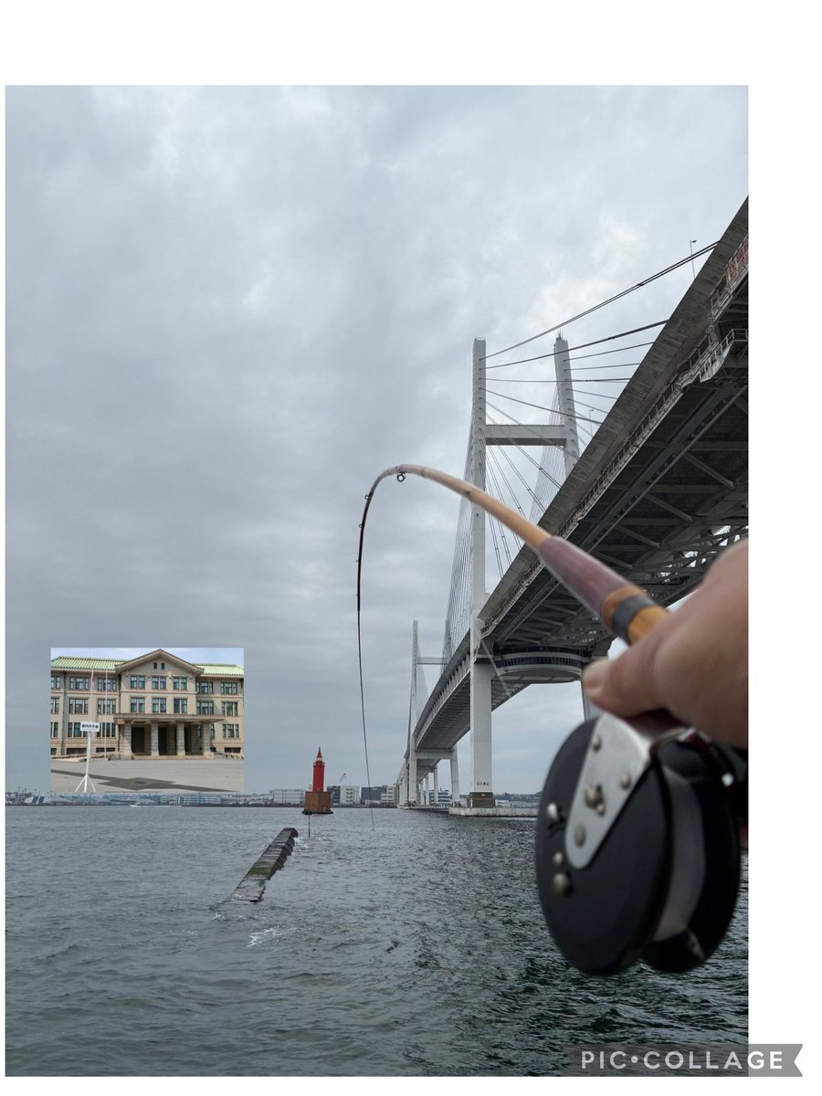 みや（一瞬マグロ漁師） tweet media