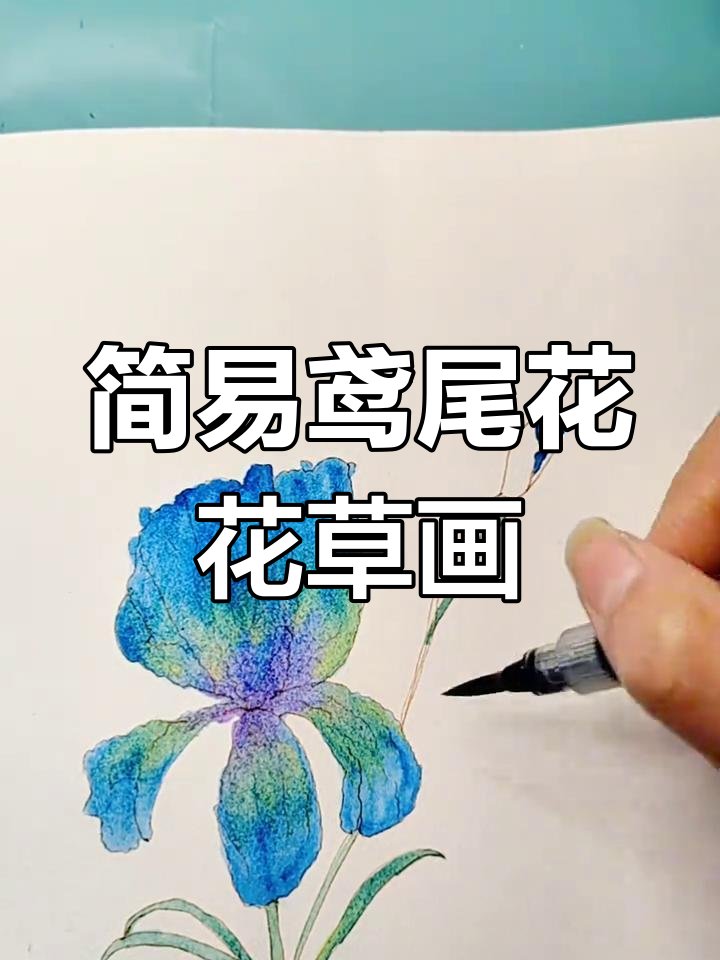 Imamul islam tweet media