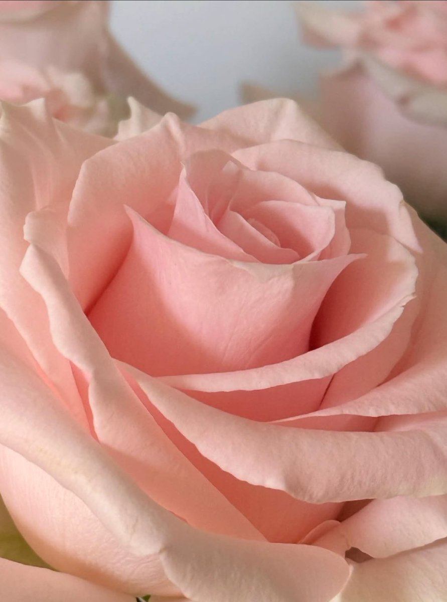 Addison Access tweet media