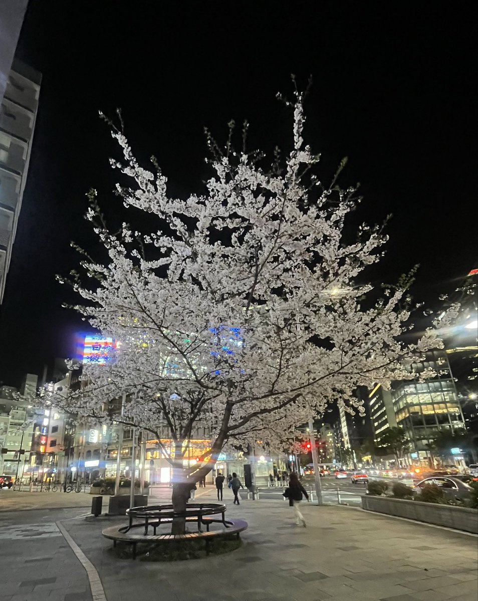 Sparkle_ M tweet media