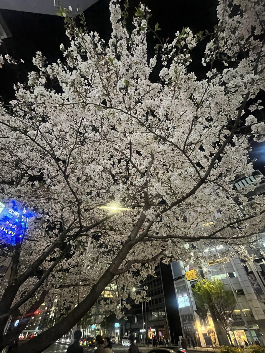 Sparkle_ M tweet media