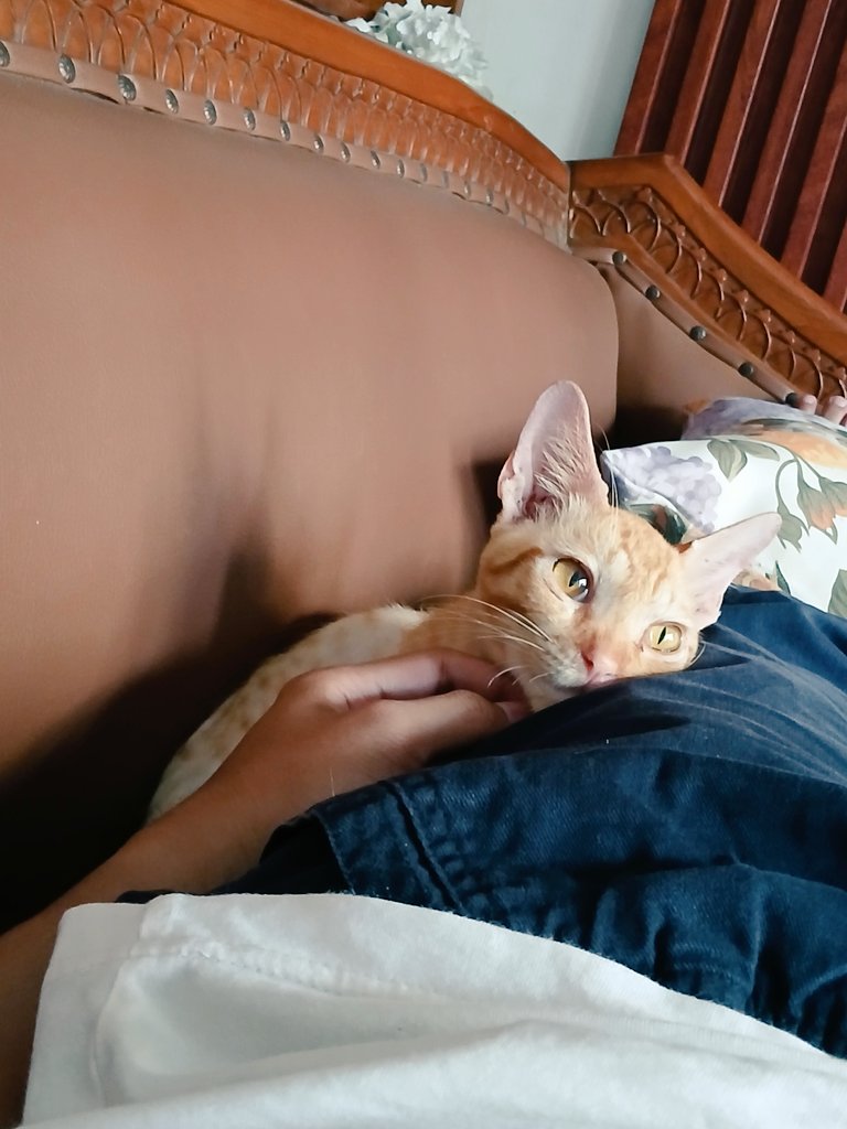 njifaal's tweet photo. bangun2 "loh kok ada yang nyender" https://t.co/ytXUOAyXaQ